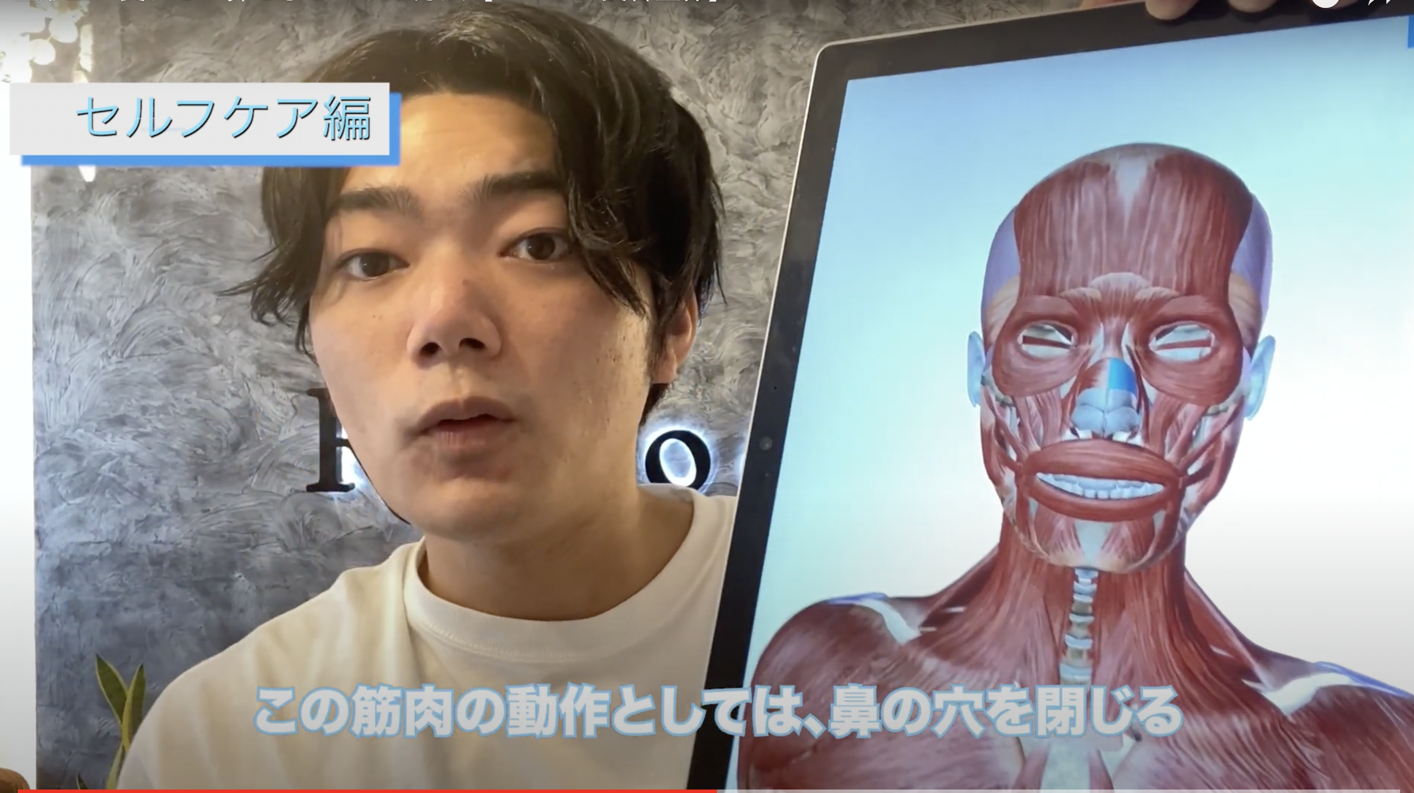 鼻筋